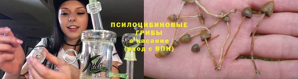 мдпв Лиски
