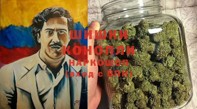 Бошки марихуана SATIVA & INDICA  blacksprut ссылка  Новомичуринск  купить  